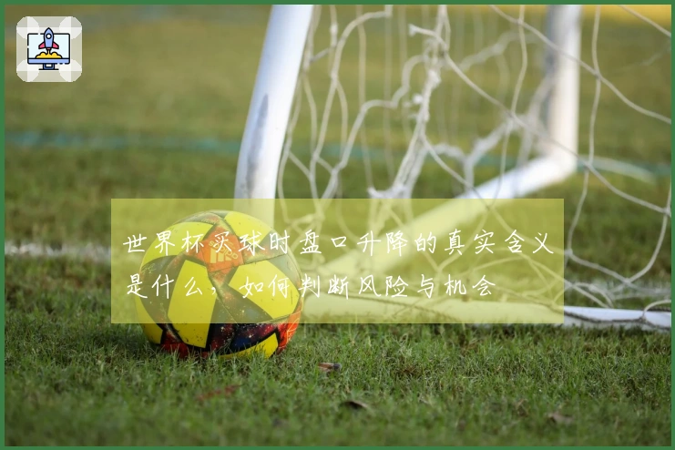 世界杯买球时盘口升降的真实含义是什么,如何判断风险与机会